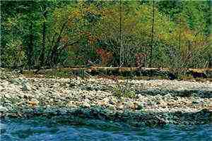 宋雁书陆渊沈归迟小说今生予你全章节无弹窗阅读