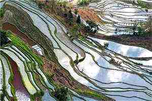 《初恋真招人》全本小说_陈音赵察全文阅读