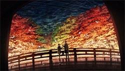 与世子重生的日子苏温顾时珩完结版小说阅读