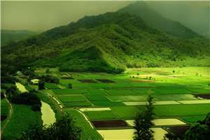 闺蜜二叔有点年轻程瑾川苏乔小说完本最新阅读