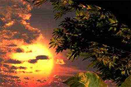 跟前任报药名(邵峋苏晓珊)全文小说邵峋苏晓珊完整版阅读