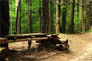 49954365沈芷念陆嘉禾小说_49954365沈芷念陆嘉禾目录阅读