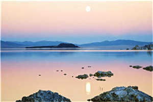 夫人她咋这样全集小说齐宿泽玉完结版阅读