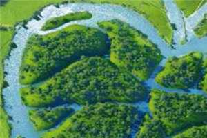 暮花决迟晏林锦荣免费全文在线阅读迟晏林锦荣在线小说免费阅读