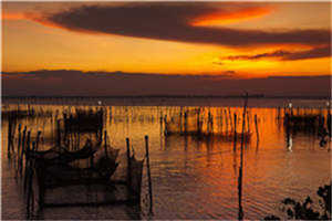 重回1994莫少坤秦沁全本小说最新阅读