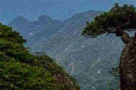 封珉曲晓悠小说 他爹回来了封珉曲晓悠小说全集无弹窗阅读