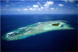 江扬刘念念完结版目录阅读