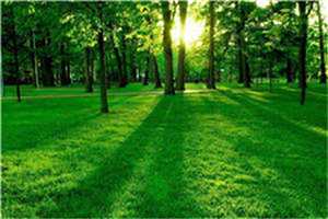 周思思陈瑞节目录小说阅读