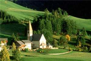 周思思陈瑞全文免费阅读-退出竞选周思思全文阅读