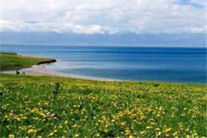 仍尽欢颜免费阅读 苏如烟霄顾北小说阅读