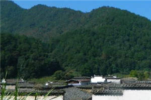 《良辰讵可待小说》在线阅读 沈司玥叶靖淮小说全文