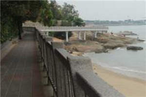 并蒂玫瑰陆湛免费阅读_陆湛尹澜澈目录阅读