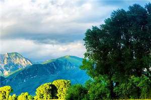 《离人愁情缘浅》小说在线阅读 墨非离温青然小说全文