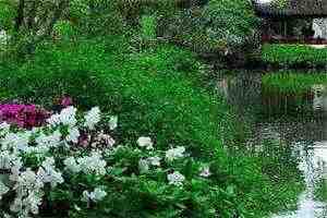 若有岁月揽星河免费阅读 苏沐颜秦夜寒小说阅读