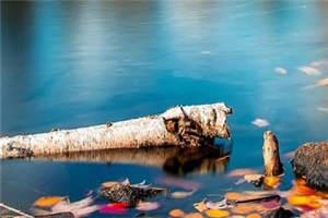 若有岁月揽星河完整版在线阅读(主角苏沐颜秦夜寒)