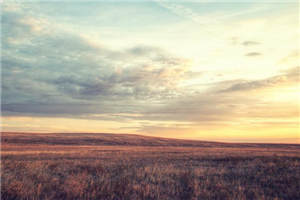 烟视媚行小说-邢铮林湄小说完整版阅读