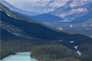 烟视媚行完整版在线阅读(主角邢铮林湄)