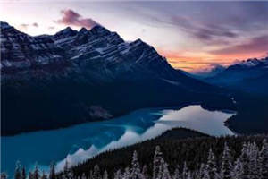 念念不忘未有回响免费阅读顾念夜擎峥小说阅读