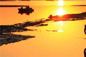 《知我相思苦》免费章节-小说姬子夜李怀月全文阅读