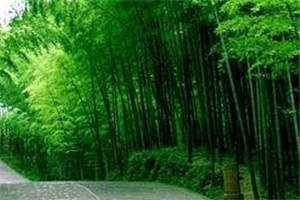 白念初沈璟全文小说_一念起一念灭全集阅读