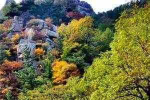 锐意进取刘锐秦旖婕全文小说_锐意进取全集阅读