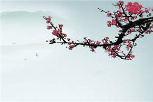 (独家)花神陨落百花凋小说-花繁落墨归羽华芸全文免费阅读