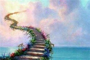 《花神陨落》小说在线阅读 花繁落墨归羽小说全文