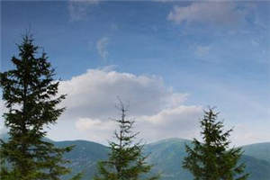 爱你蓄谋已久精彩小说_时晚沈亦辞目录阅读