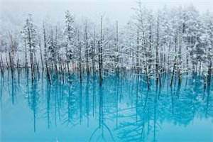 (独家)婢女玉莲小说-婢女玉莲赵轼轩文玉莲全文免费阅读