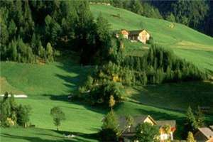 舔狗前夫强撩我沈音音秦妄言全本小说章节目录阅读