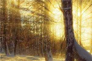 我的室友不好惹小说我的室友不好惹全文免费阅读_我的室友不好惹（唐悦黄心）最新章节列表笔趣阁