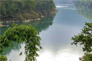 杨家后宅(全)金蝶儿（戚婵李玄瑾）全文免费阅读_杨家后宅(全)金蝶儿最新章节杨家后宅(全)金蝶儿小说免费阅读_笔趣阁