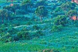 许初意宴时泽（许初意宴时泽）全文免费阅读_许初意宴时泽最新章节列表-笔趣阁（许初意宴时泽）