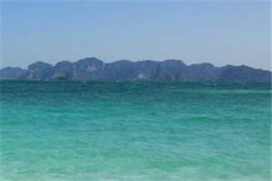 温景琛林迦南小说（温景琛林迦南）全文免费阅读_温景琛林迦南小说最新章节列表-笔趣阁（温景琛林迦南小说）