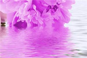 晏时泽许初意小说（晏时泽许初意）全文免费阅读_（晏时泽许初意）晏时泽许初意最新章节列表笔趣阁（晏时泽许初意）