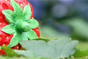 喜欢的背后(喜欢的背后)全文免费阅读_喜欢的背后全文阅读_笔趣阁(喜欢的背后)