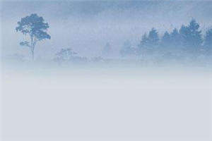 海彤战胤免费阅读（海彤战胤）全文免费阅读_ (海彤战胤免费阅读)海彤战胤最新章节列表_笔趣阁（海彤战胤免费阅读）