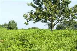 你是我的星辰大海（你是我的星辰大海）全文免费阅读_你是我的星辰大海最新章节列表-笔趣阁（你是我的星辰大海）