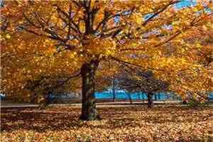 秦妄言秦念晚小说（秦妄言秦念晚）全文免费阅读无弹窗大结局_（秦妄言秦念晚）秦妄言秦念晚最新章节列表_笔趣阁（秦妄言秦念晚）