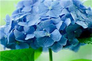 玫瑰卧底（陈伯彦江警官）全文免费阅读无弹窗大结局_玫瑰卧底（陈伯彦江警官）最新章节列表笔趣阁（陈伯彦江警官）