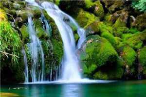 林浅浅陆森南全文免费阅读无弹窗大结局_(林浅浅陆森南)林浅浅陆森南最新章节列表笔趣阁(林浅浅陆森南)