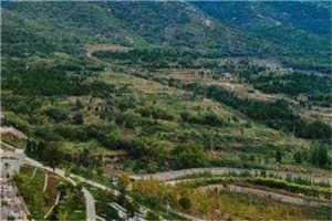 温清烟顾景衍小说（温清烟顾景衍）全文免费阅读无弹窗大结局_（温清烟顾景衍）温清烟顾景衍最新章节列表笔趣阁（温清烟顾景衍）