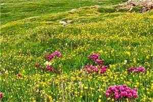 诡异乱葬岗全文免费阅读无弹窗大结局_(王兴林云)诡异乱葬岗最新章节列表笔趣阁(王兴林云)