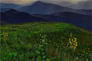 校草哥哥(孟望安纵彤)全文免费阅读无弹窗大结局_（孟望安纵彤）校草哥哥免费阅读无弹窗最新章节列表_笔趣阁（孟望安纵彤）