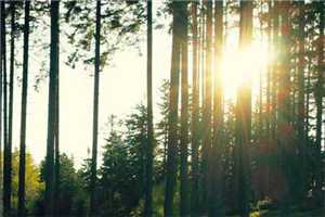 她不讲道理（崔瑾容沈颜卿）全文免费阅读无弹窗大结局_她不讲道理全文阅读_笔趣阁（崔瑾容沈颜卿）