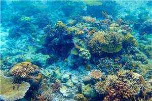 我决定忘记季先生(夏甜甜季北严)全文免费阅读无弹窗大结局_(夏甜甜季北严)我决定忘记季先生最新章节列表笔趣阁（夏甜甜季北严）