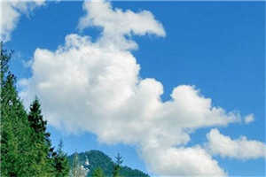 古汐梦周若宸(古汐梦周若宸)全文免费阅读无弹窗大结局_古汐梦周若宸全文阅读_笔趣阁（古汐梦周若宸）