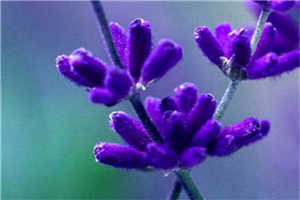 古汐梦周洛辰全文免费阅读无弹窗大结局_（古汐梦周洛辰）古汐梦周洛辰最新章节列表笔趣阁（古汐梦周洛辰）