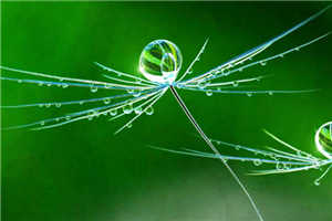 见你才起意（宋烟宋旻江宴）全文免费阅读无弹窗大结局_（宋烟宋旻江宴）见你才起意最新章节列表笔趣阁（宋烟宋旻江宴）