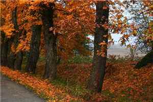 鹿城陈冉（鹿城陈冉）全文免费阅读无弹窗大结局_鹿城陈冉最新章节列表笔趣阁（鹿城陈冉）